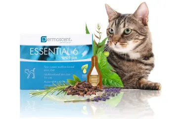 Pipeta para gatos - dermoscent