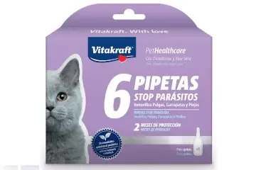 Para Gatos